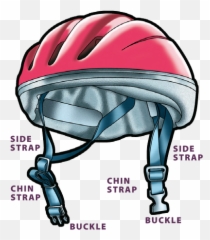 Fitting Your Helmet - Bike Safe Im Bicycle Helmet Straps Png,Bike Helmet Png
