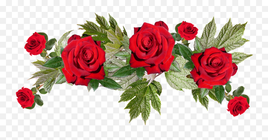 Red Flowers Png Image With Transparent Background Arts - Jw Year Text 2020,Roses Transparent Background
