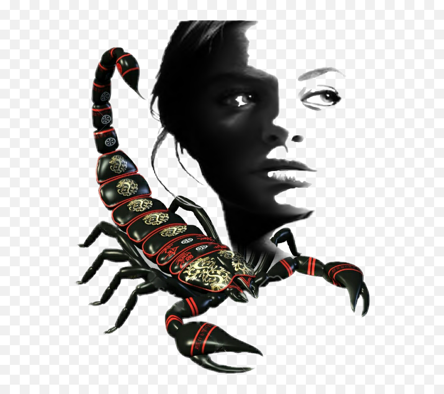 Scorpion Sticker By Scorpionindia1968 Png Transparent Background