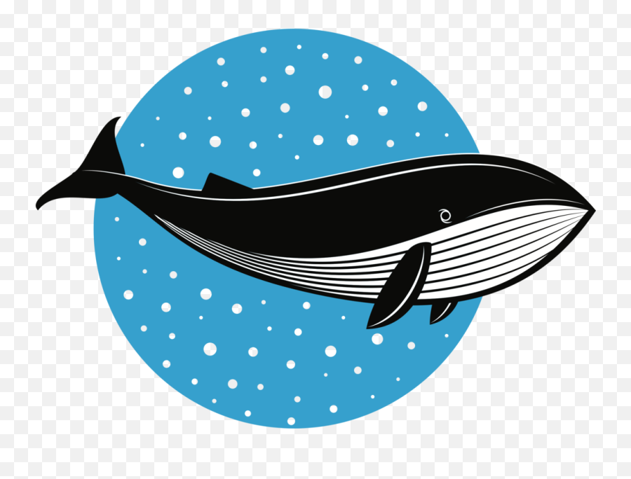 Whales Fish Logo Dolphin Drawing Cc0 - Gambar Ikan Paus Kartun Png,Blue Whale Png