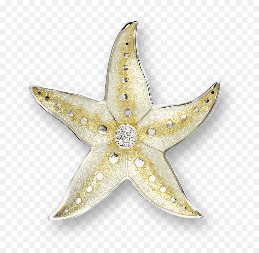 Star Fish Png - Paperweight,Star Fish Png