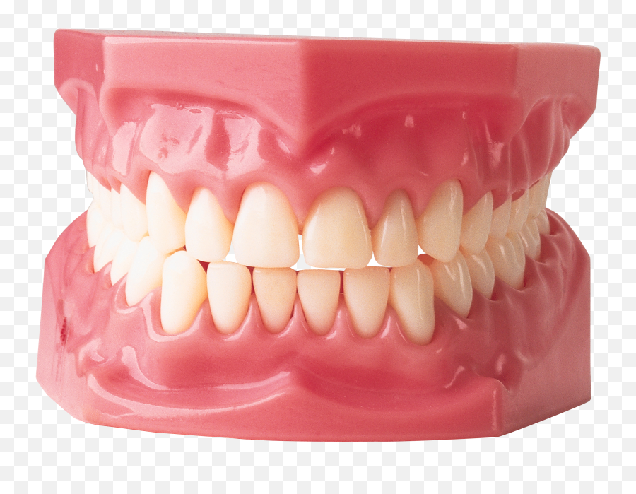 Teeth Png Image - Teeth Png,Dentures Png