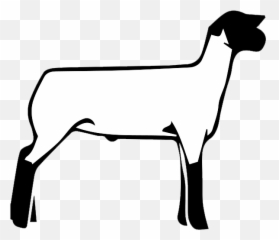 Sheep Clipart Clear Background - Clipart Show Lamb Silhouette png