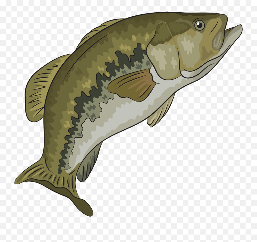 Largemouth Bass Clipart - Carp Cartoon Transparent Background Png,Largemouth Bass Png