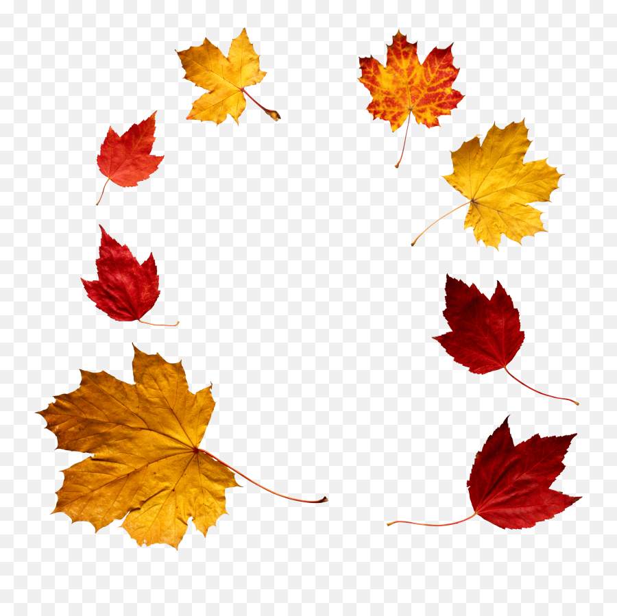 Download Leaf Circle Png - Overlay Falling Leaves Png,Fall Frame Png