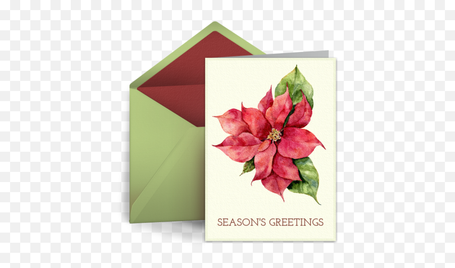 Christmas Ecard Greeting Card - Horizontal Png,Poinsettia Icon Png