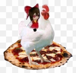 Javi - Reimu On A Chicken png