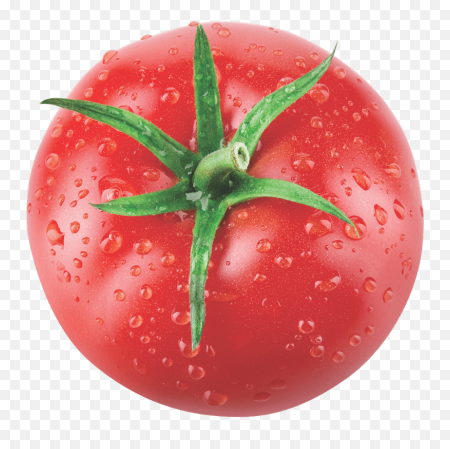Chefu0027s Tips - Dei Fratelli Fresh Png,Tomato Icon