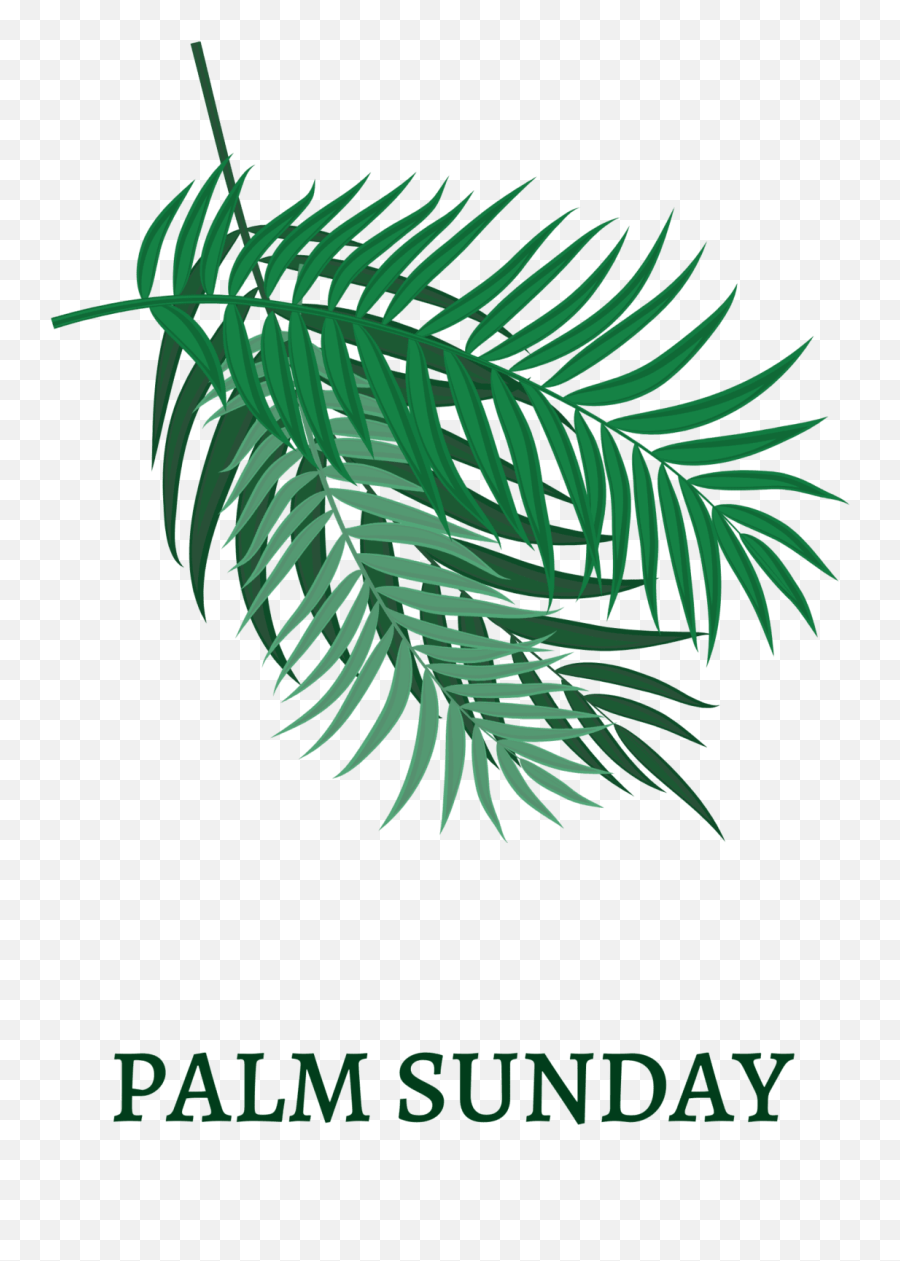 Palm Sunday April 5 2020 First Baptist Church - Palm Sunday 2022 Png,Steed Icon