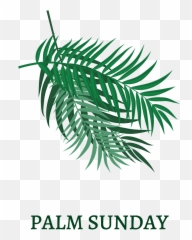 Palm Sunday April 5 2020 First Baptist Church - Palm Sunday 2022 Png,Steed Icon