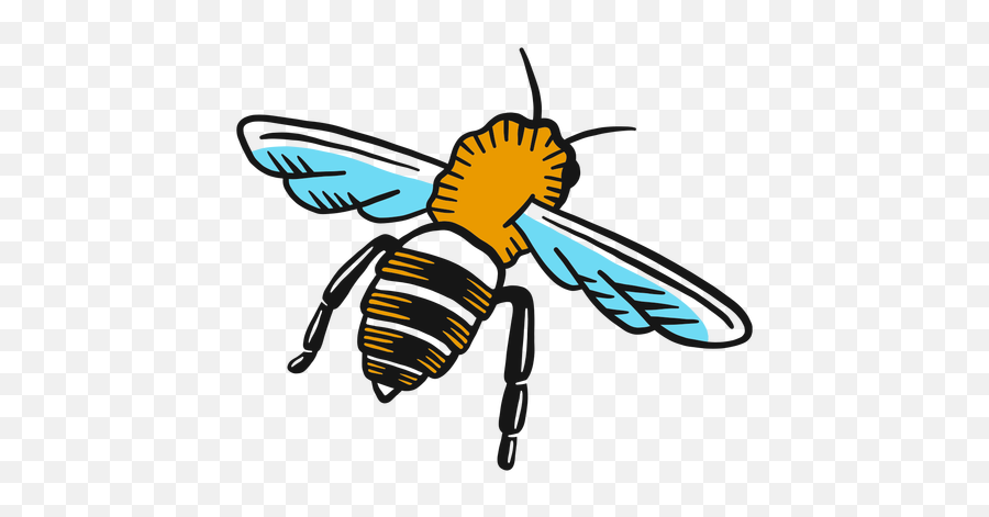 Bee Wasp Leg Wing Sketch Insect - Transparent Png U0026 Svg Imagens De Desenho De Insetos,Wasp Png