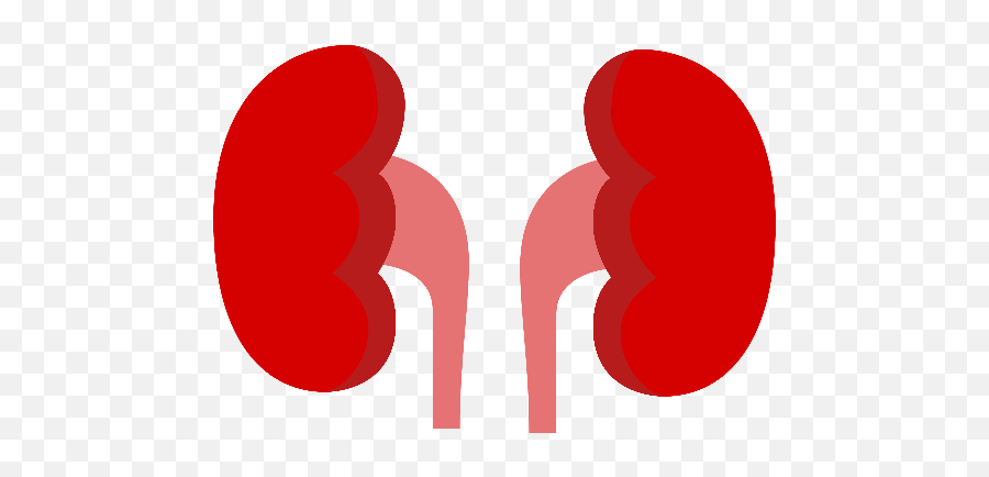 Home Nephrology Group - Language Png,Kidney Icon