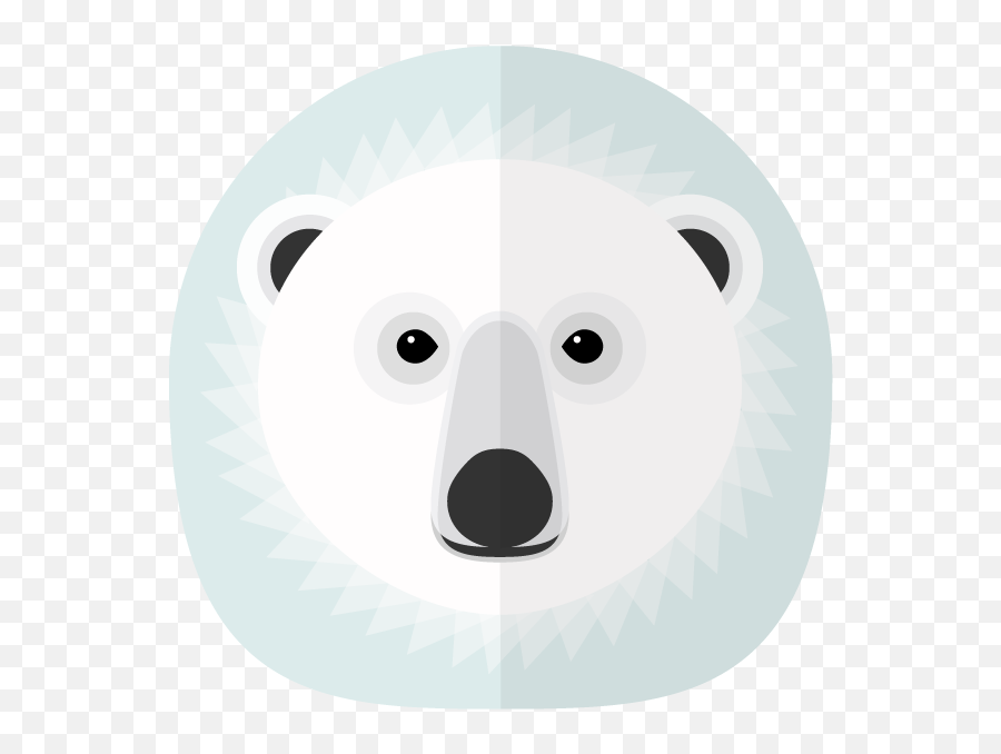 You Are A Polar Bear - Polar Bear Png,Snow Bear Icon Png