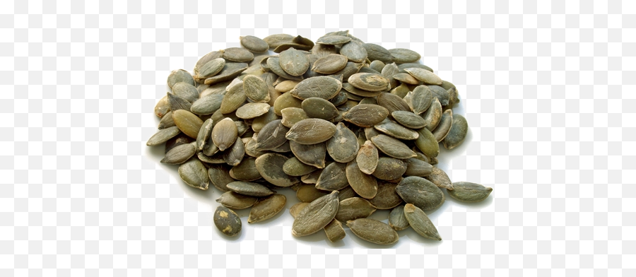 Download Pumpkin Seeds Transparent - Pumpkin Seed Full Transparent Pumpkin Seeds Png,Seed Png