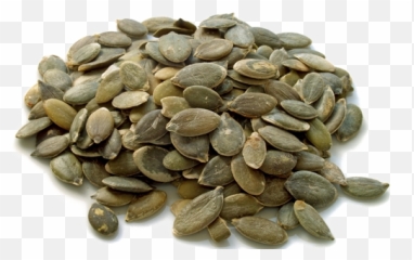 Download Pumpkin Seeds Transparent - Pumpkin Seed Full Transparent Pumpkin Seeds Png,Seed Png