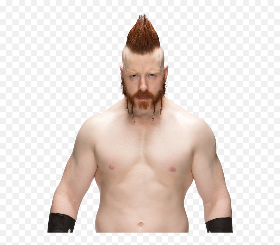 Meet Wwe Superstar Sheamus Backstage - Wwe Sheamus Png,Sheamus Png