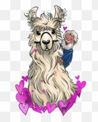 Caesar The No Drama Llama - Caesar The No Drama Llama Png,Llama Png