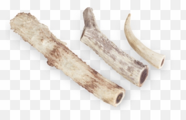 Download Hd Deer Antlers Transparent Png Image - Nicepngcom Driftwood,Antlers Png