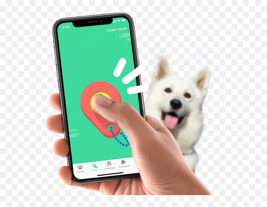 Dogo App - Train Obedience Agility And Fun Tricks With Your Diy Dog Clicker Png,Doggo Png