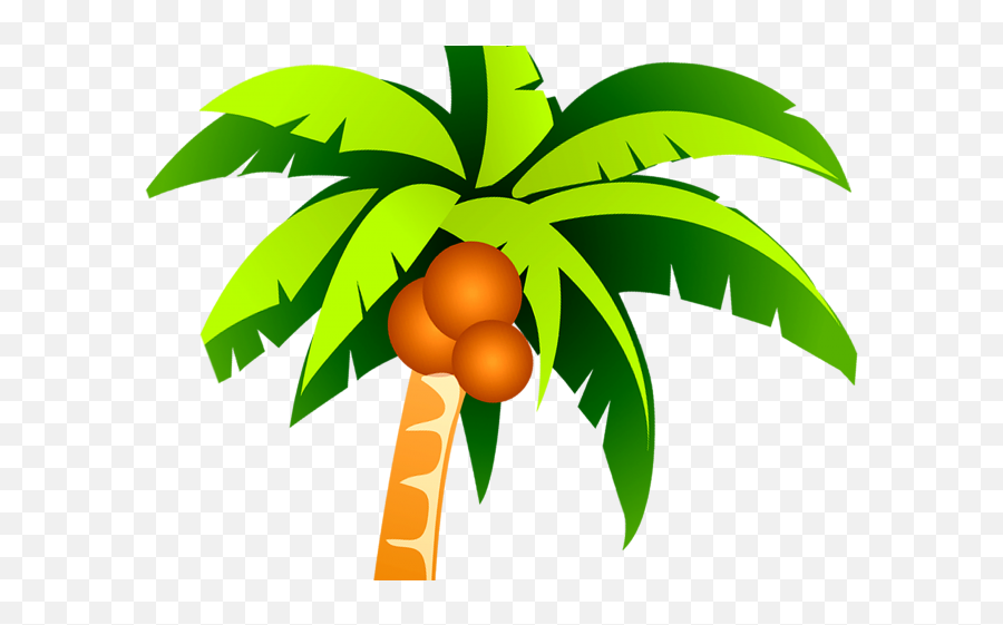 Vector Clipart Coconut Tree - Coconut Tree Vector Png My Tree On Collective Nouns,Coconut Tree Png
