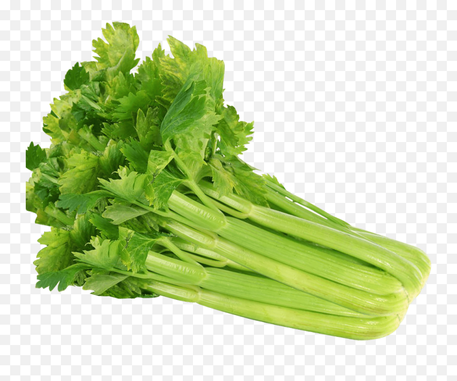 Celery Seeds 100 Vegetable - Transparent Background Celery Png,Celery Png