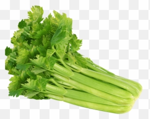 Celery Seeds 100 Vegetable - Transparent Background Celery Png,Celery Png