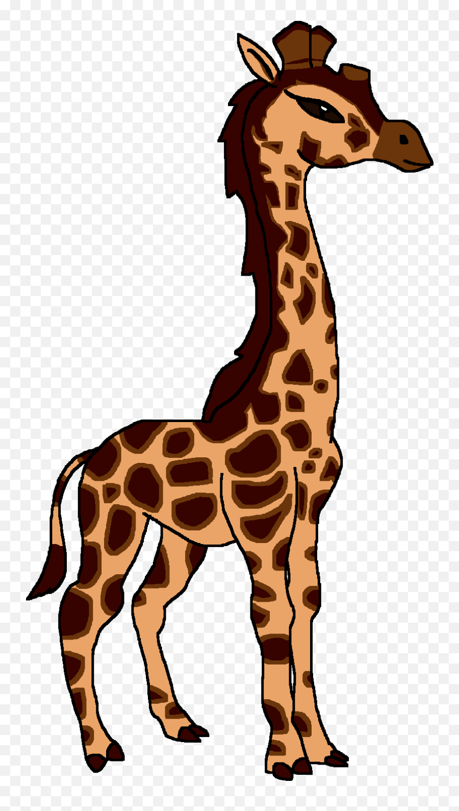 Rothschildu0027s Giraffe - Giraffe Clipart 2428920 Png Rothschild Giraffe Clipart,Giraffe Png