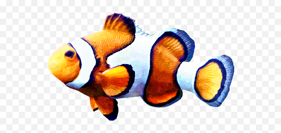 Clownfish Cutout Greeting Card For Sale - Ocellaris Clownfish Png,Clownfish Png
