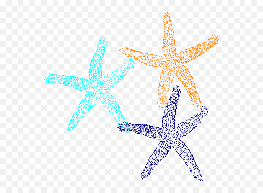 Starfish Clip Art - Dark Blue Star Fish Png,Star Fish Png