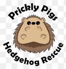 Found A Hedgehog Prickly Pigs Rescue - Big Png,Hedgehog Logo