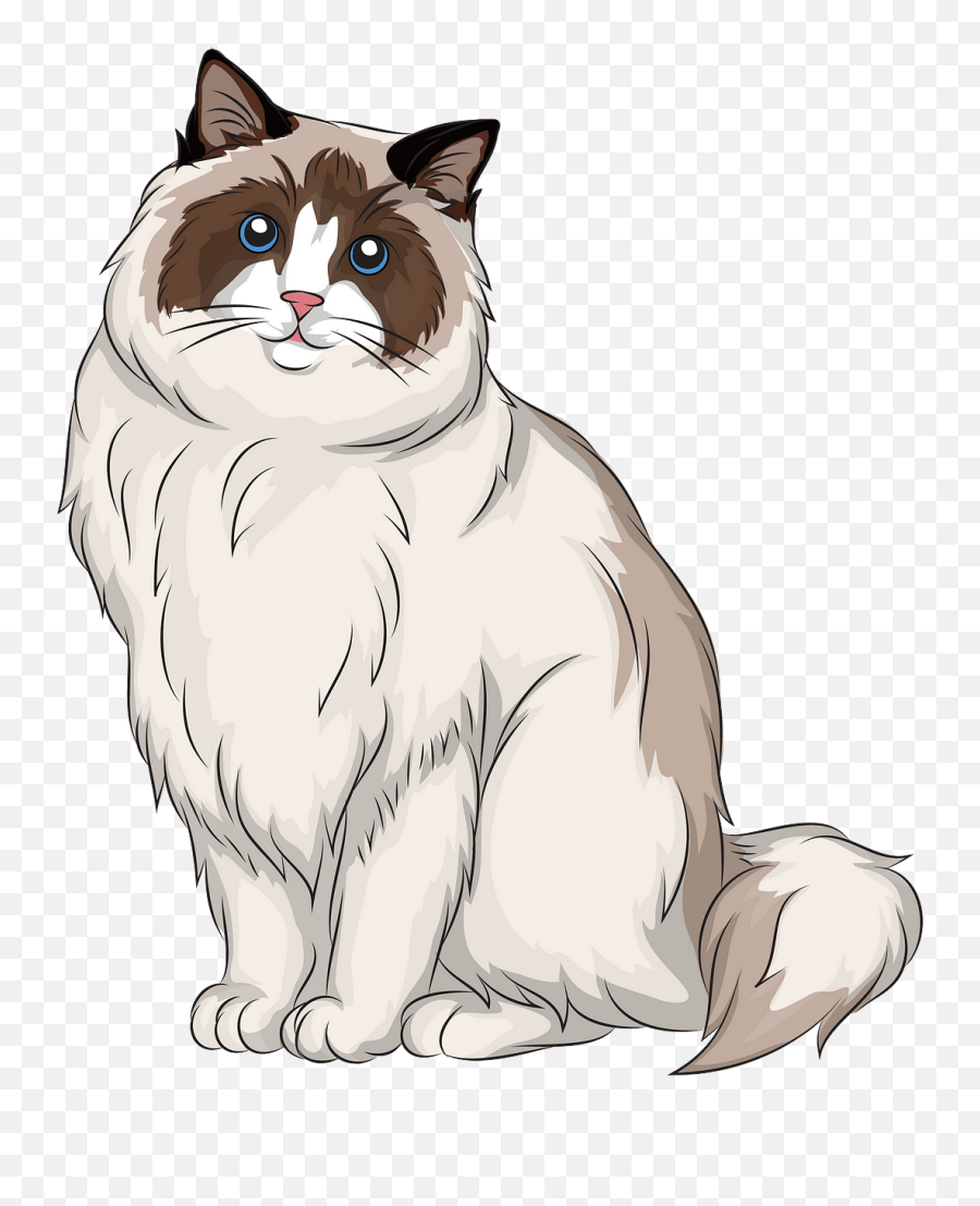 Ragdoll Cat Clipart - Ragdoll Cat Clipart Png,Cat Clipart Transparent