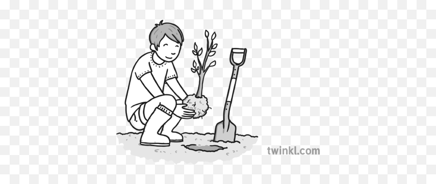 Planting Tree Black And White - Planting A Tree Twinkl Png,Black And White Tree Logo