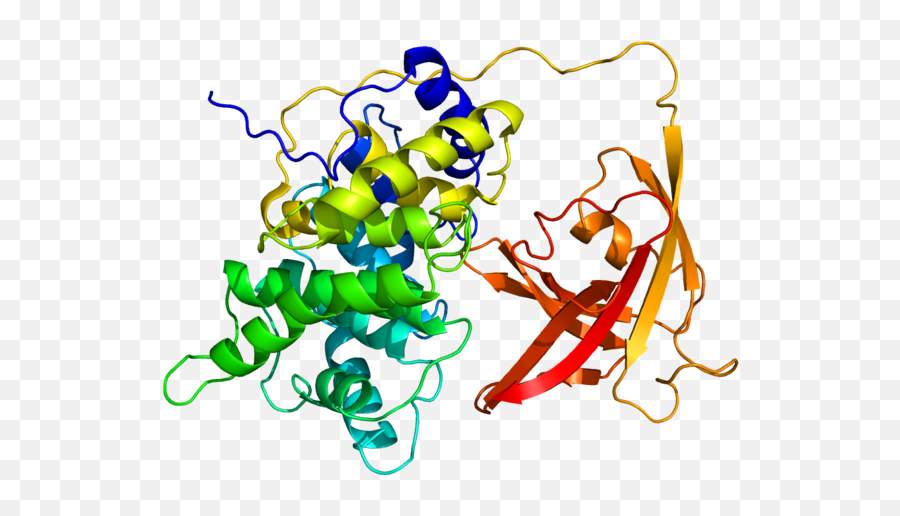 Protein Gif Pdb 2ckt - Celulas Gif Png,Protein Png