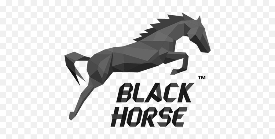 History Of Company Development - Web Black Horse Logo Png,Horse Logos
