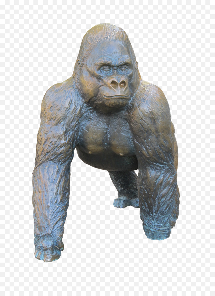 Gorilla Bronze Statue Transparent Png - Stickpng Saint Louis Zoo,Gorilla Transparent