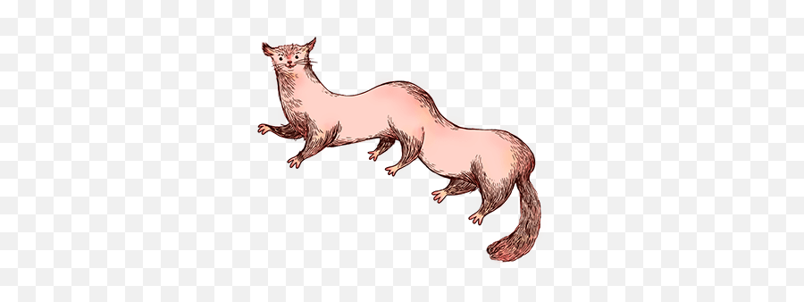 Nuiiu0027s Planet - Animal Figure Png,Weasel Icon