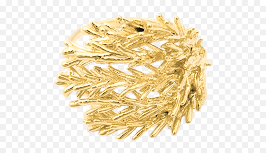 Terra Goldplated Ring - The Jewellery Pressroom Solid Png,N/a Icon