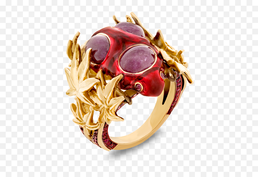 Red Ring - Solange Azagury Partridge Png,Red Ring Png