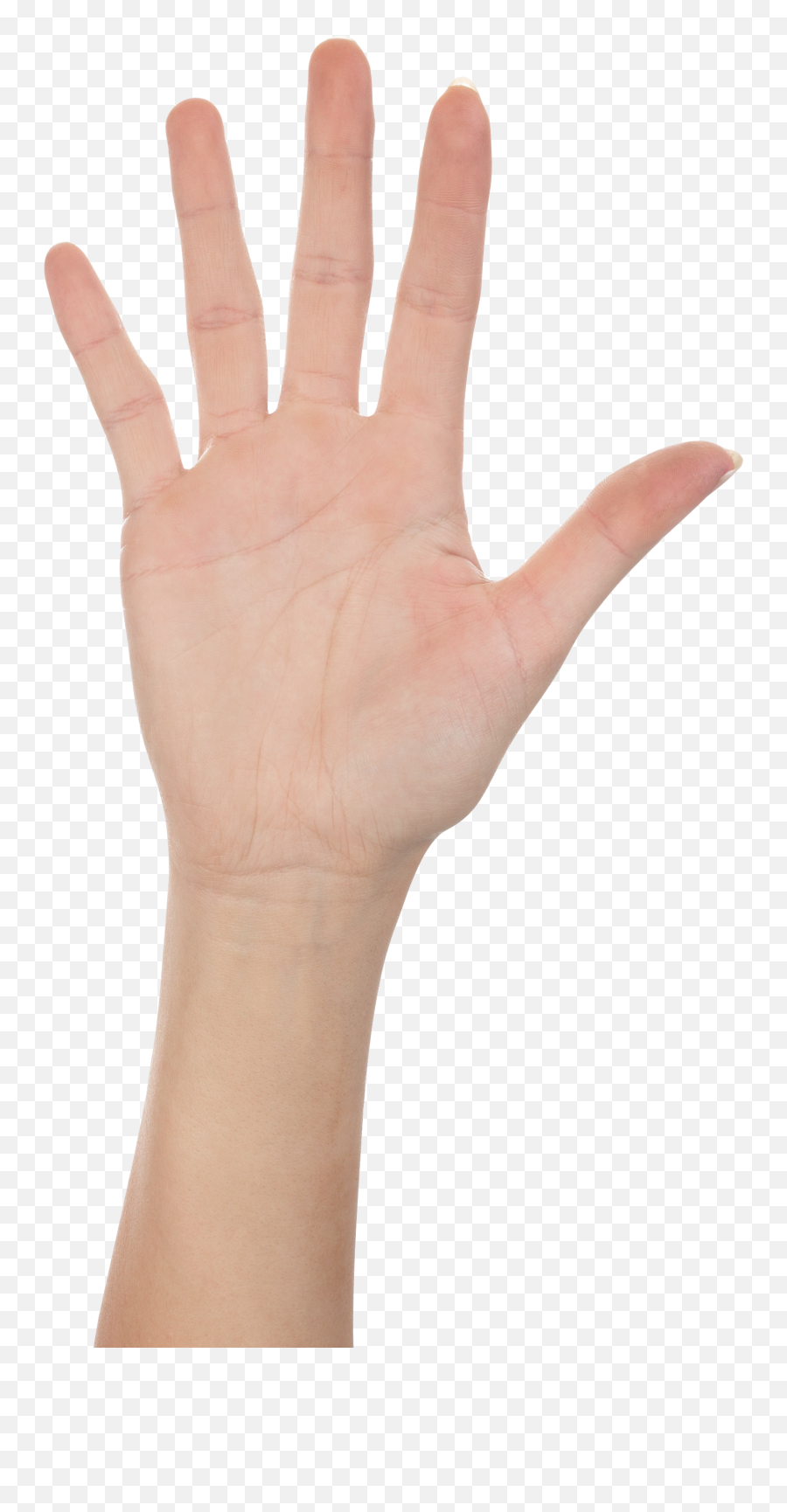 Hands Transparent Png File Web Icons - High Five Hand Png,High Five Png