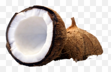Coconut Png Free Image - Transparent Background Coconut Transparent,Coconut Png