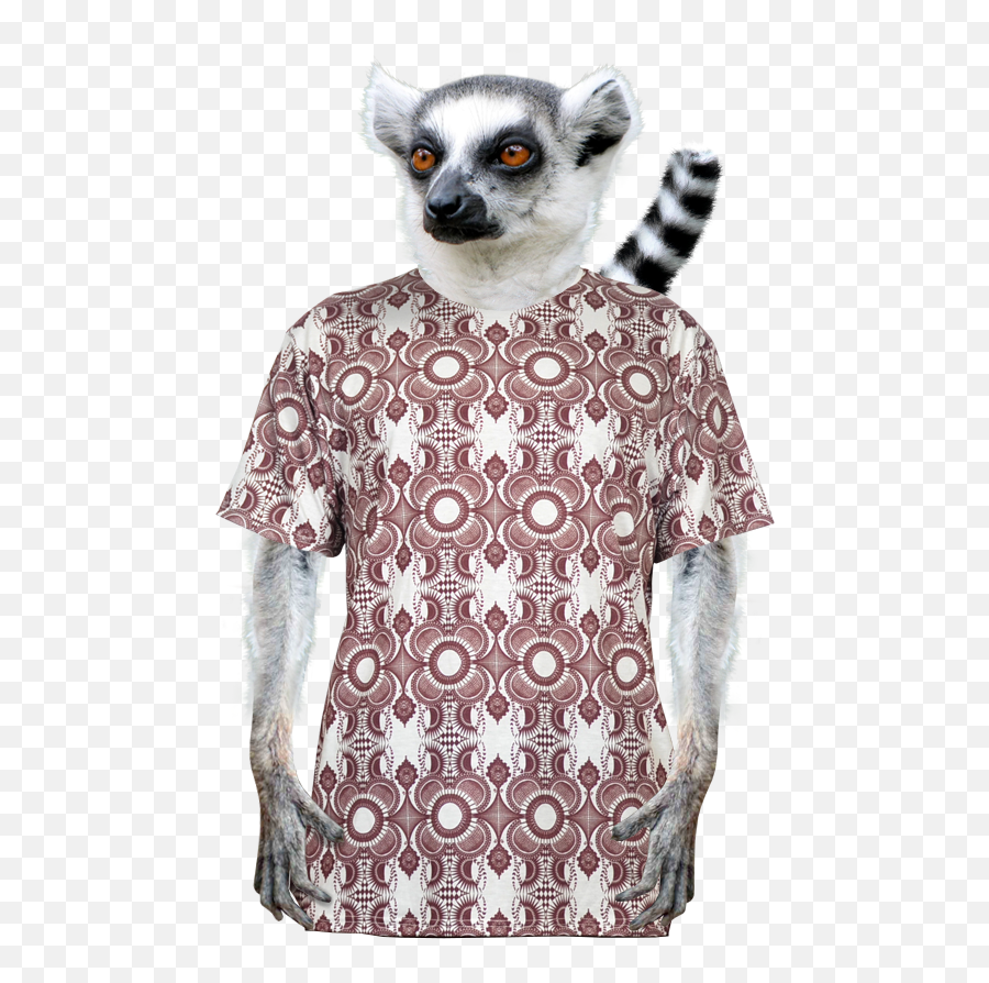 Proteus Aop T - Shirt Lemur Catta Png,Lemur Png
