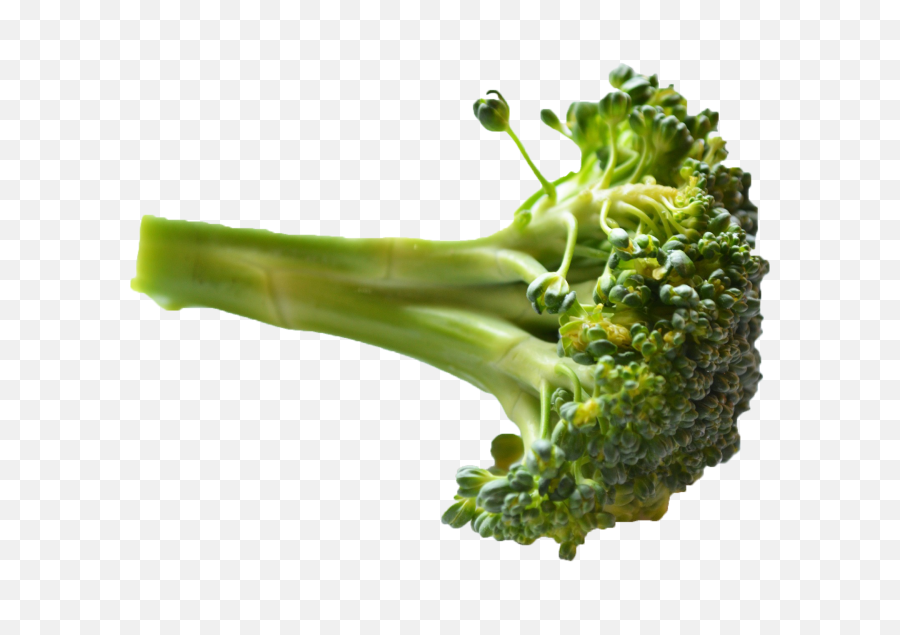 Broccoli Png Image - Png Broccoli Png,Broccoli Transparent