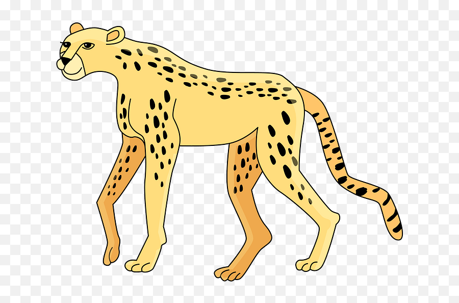 Free Cheetah Cliparts Download Clip Art - Cheetah Clipart Png,Chester Cheetah Png