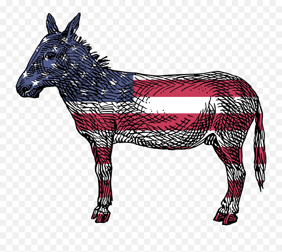 Donkey - Transparent Background Democrat Png,Donkey Png