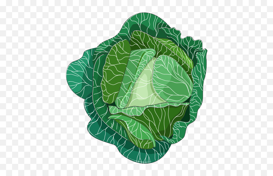 Brocolli Clip Art - Cabbage Png,Brocolli Png