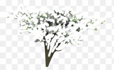 Trees For Project Dogwaffle - Bouquet png