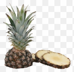 Png Images Premium Collection - Pineapple,Pineapples Png