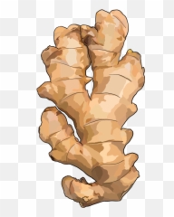 Ginger Png