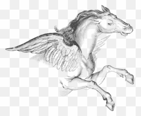 Pegasus Transparent Png - Pegasus Constellation Png,Pegasus Png