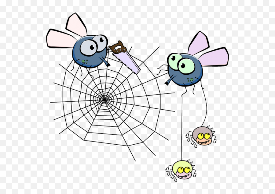Spider Insect Transparent Png Images - Corner Spider Web Transparent Png,Flies Png